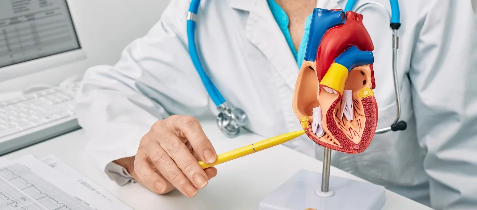 Cardiology-medical-Billing-Services